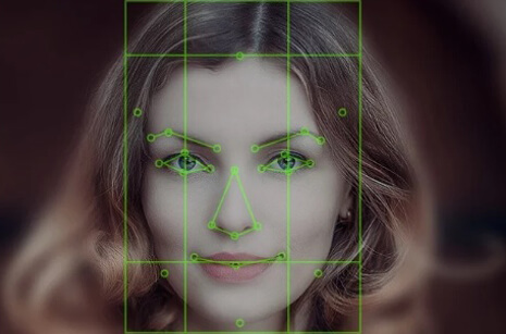 Image Annotation Use Case: Detailed Landmarking