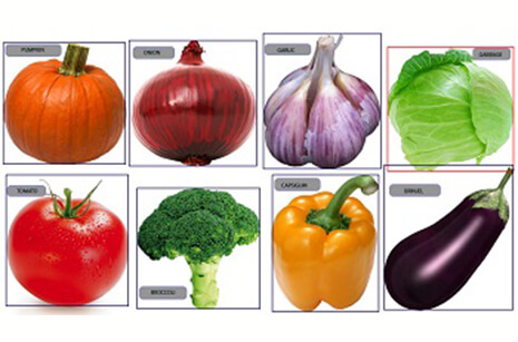 Image Annotation Use Case: Object Recognition